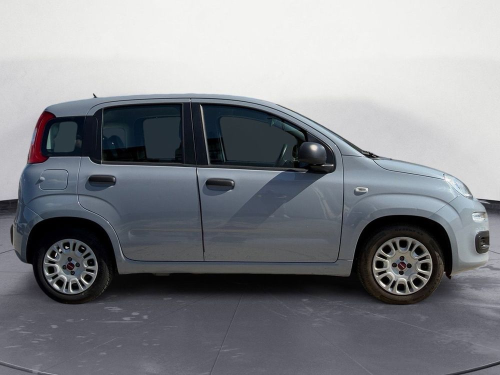 Miniatura Panda 5