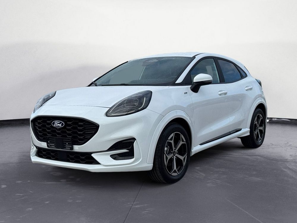 Miniatura Puma 2