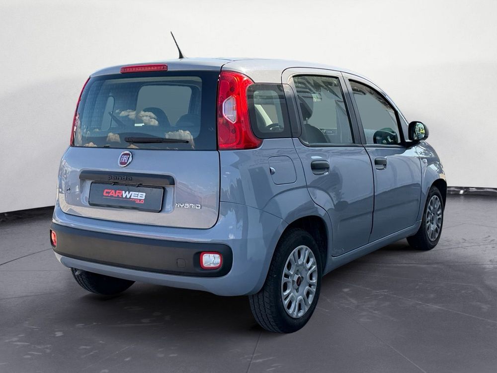 Miniatura Panda 6
