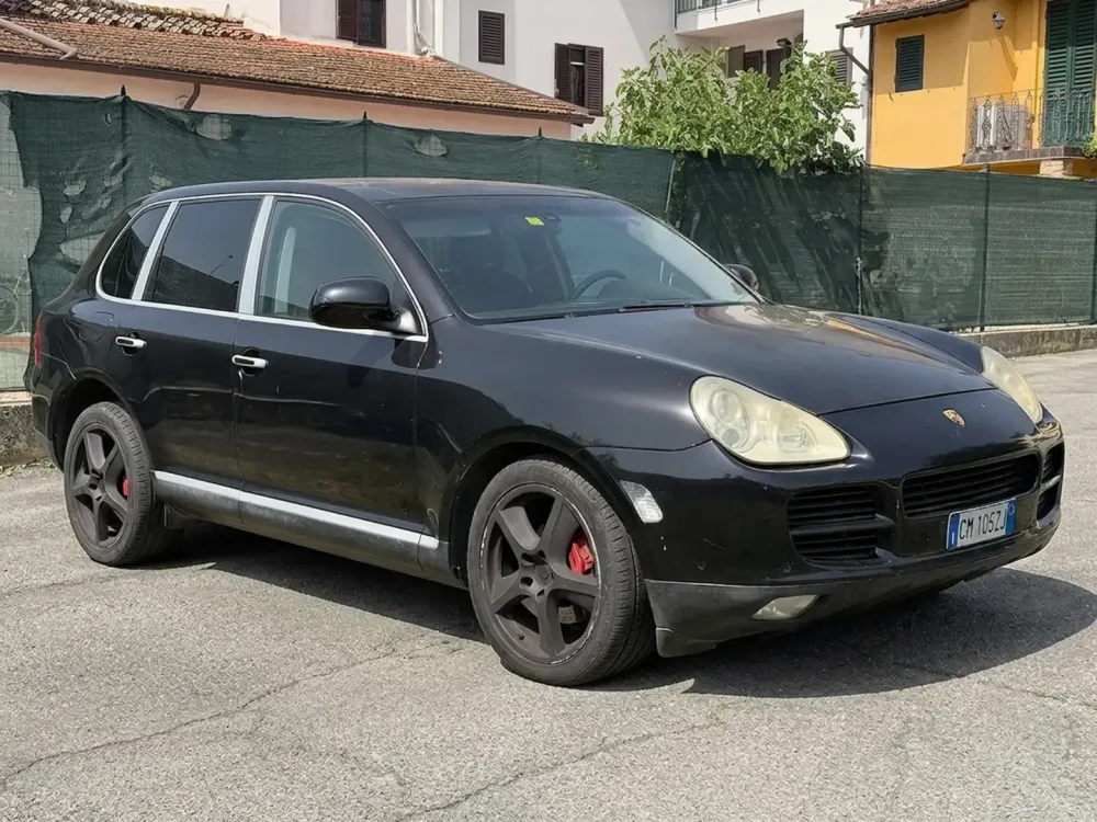 Miniatura Cayenne 3