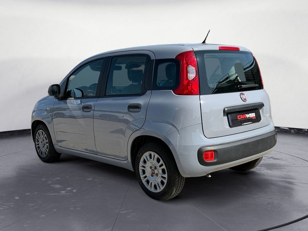 Miniatura Panda 8