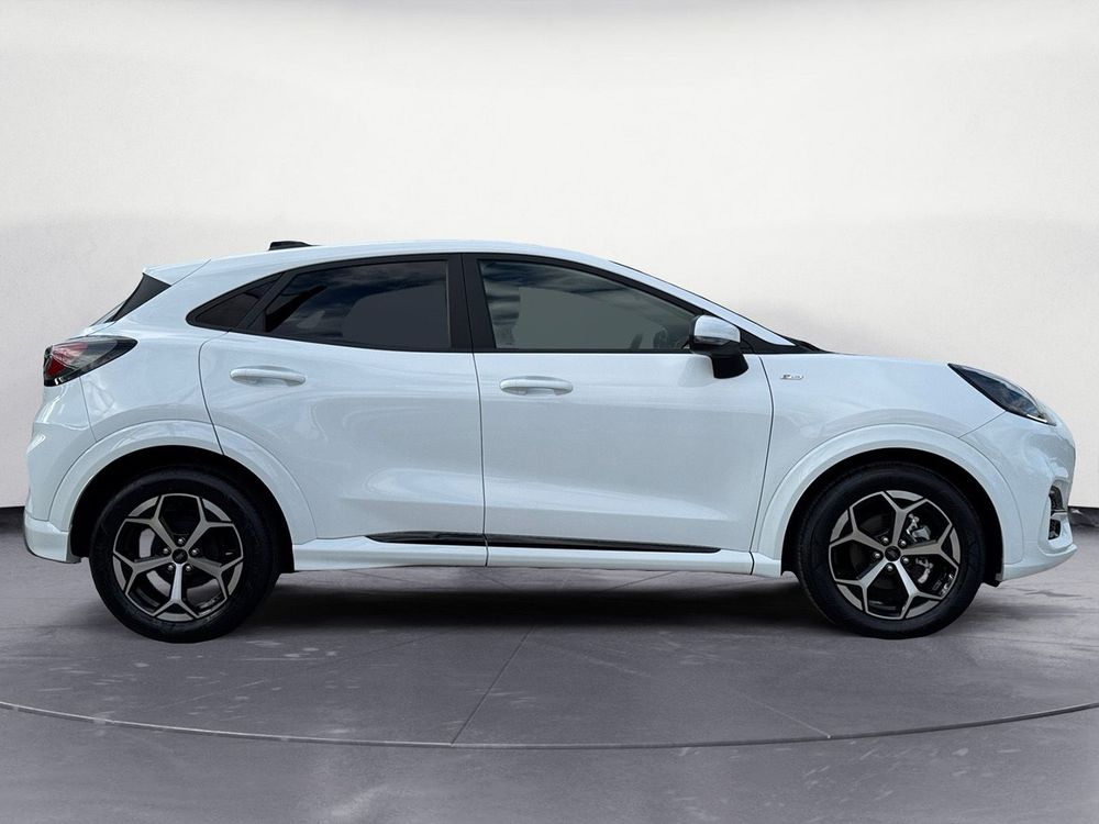 Miniatura Puma 5