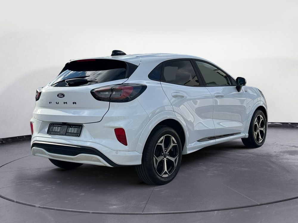 Miniatura Puma 6