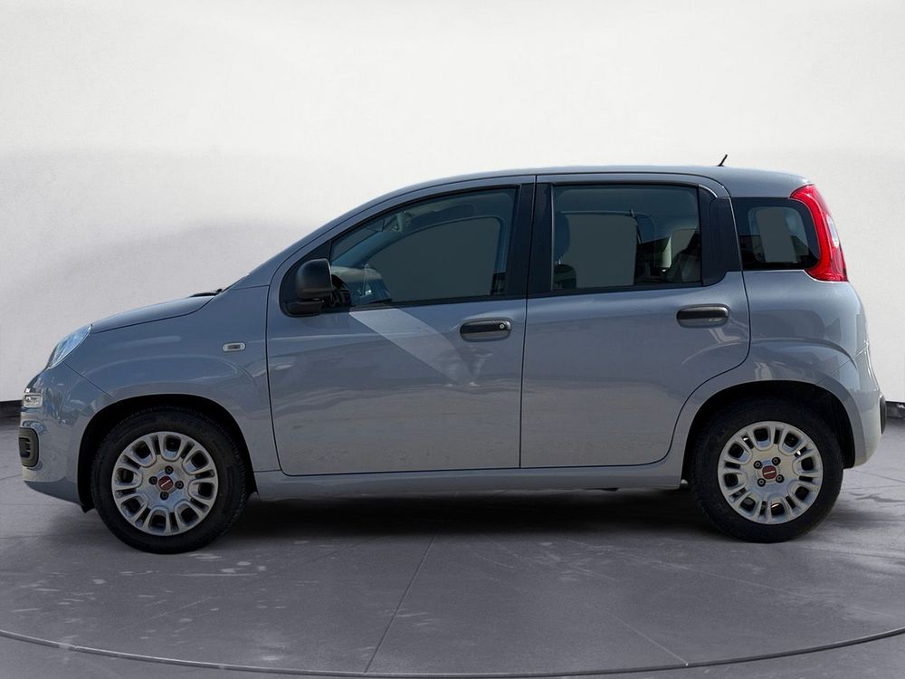 Miniatura Panda 9