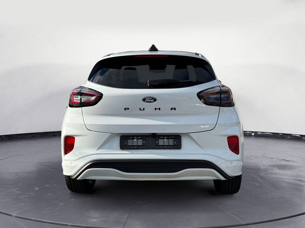 Miniatura Puma 7