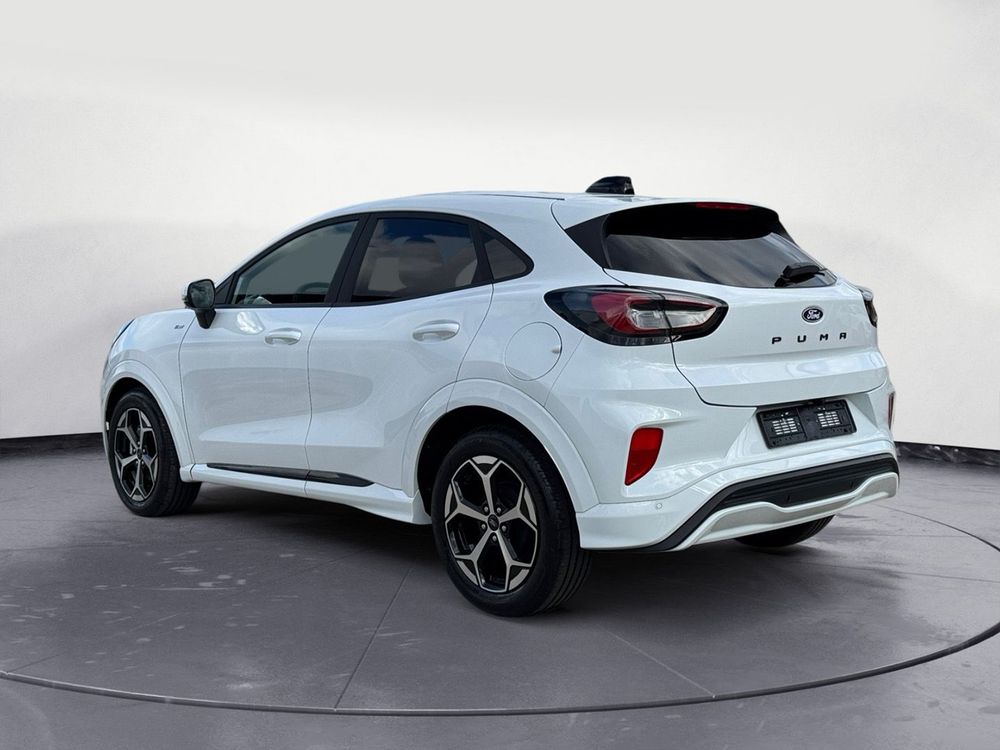 Miniatura Puma 8