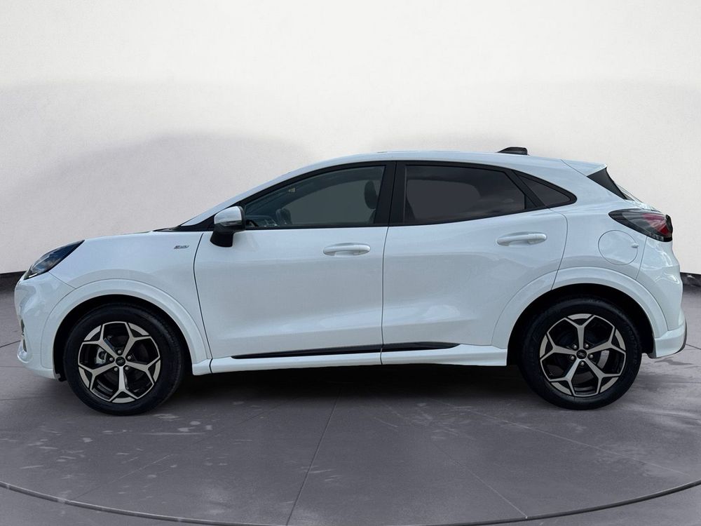 Miniatura Puma 9