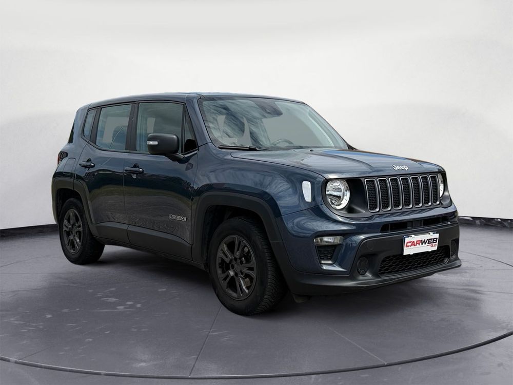 Miniatura Renegade 4