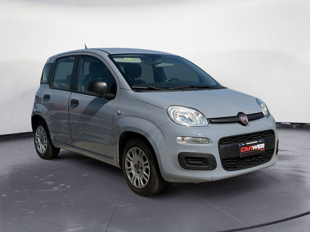 Miniatura Panda 4