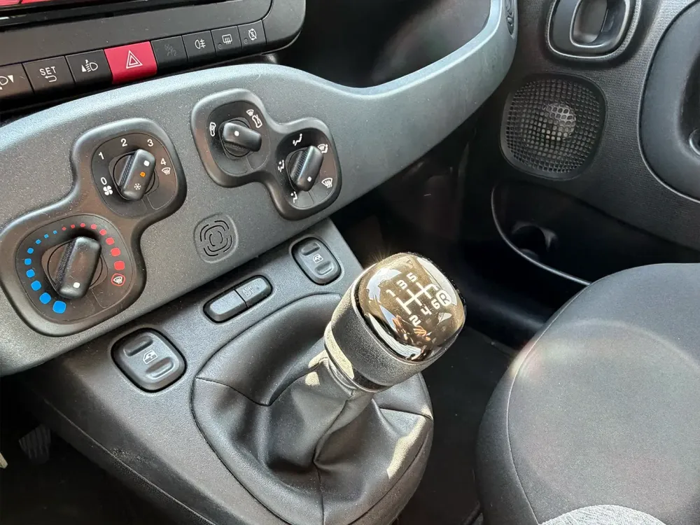 Miniatura Panda 11