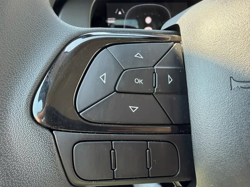 Miniatura Panda 13