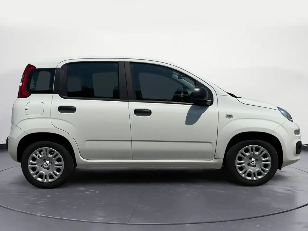 Miniatura Panda 4