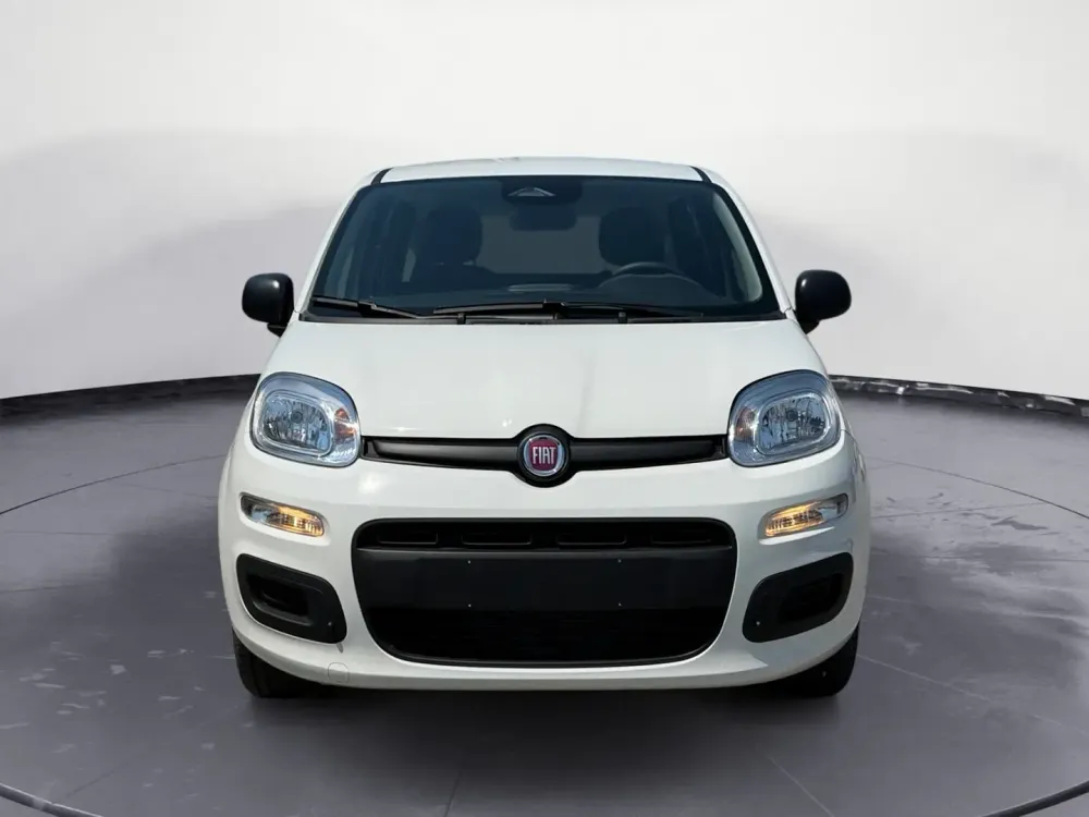 Miniatura Panda 2