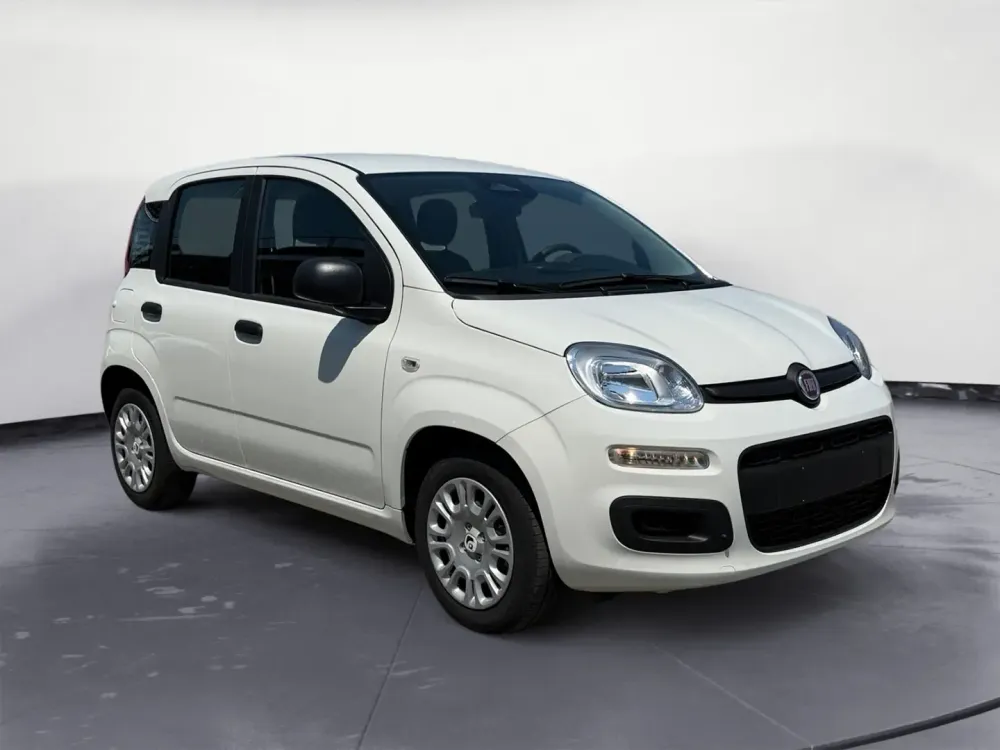 Miniatura Panda 3