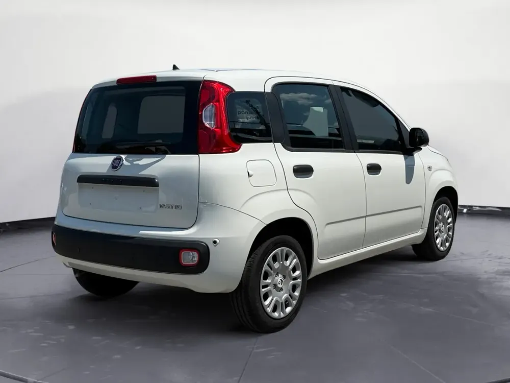 Miniatura Panda 5