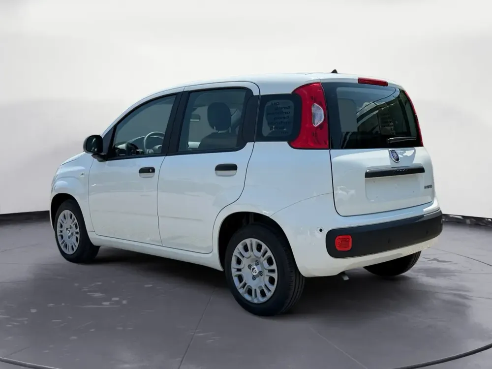 Miniatura Panda 7