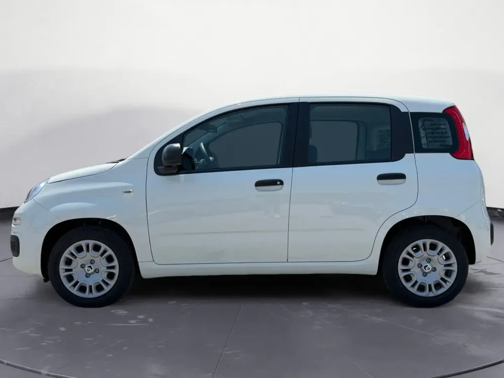 Miniatura Panda 8