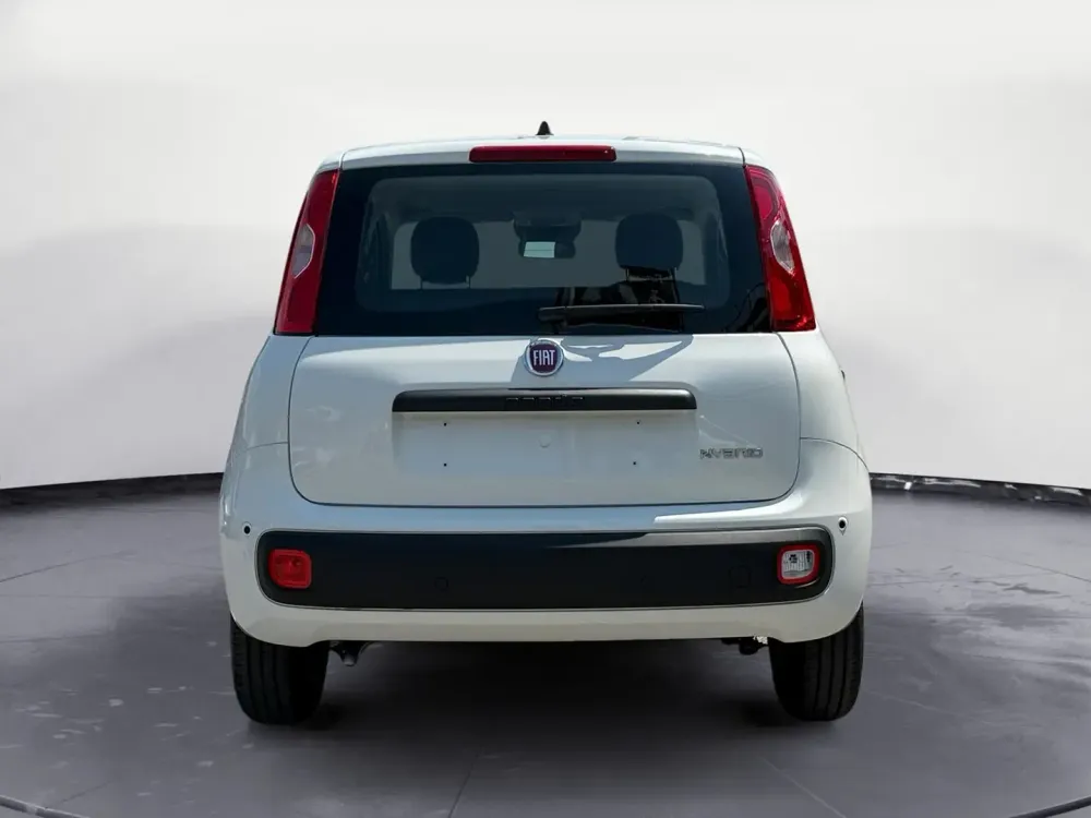 Miniatura Panda 6